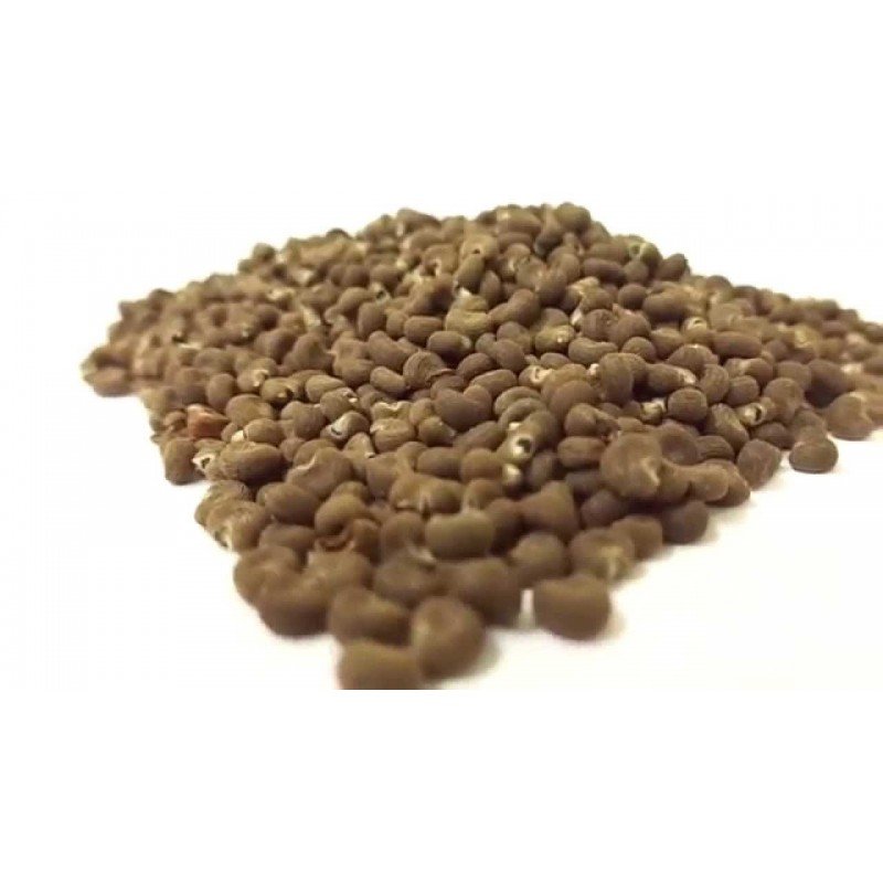 Ambrette Seeds Ambrette Seeds