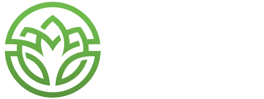 Lotus Life Health